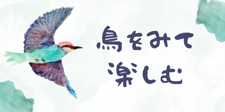 野鳥をみて楽しむ